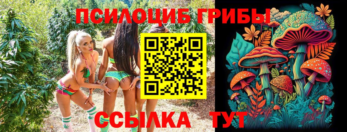 Вейп ТГК  Вход с VPN  Марихуана  Гашиш  Минеральные Воды  Каннабис  Cocaine  Меф МЯУ МЯУ  