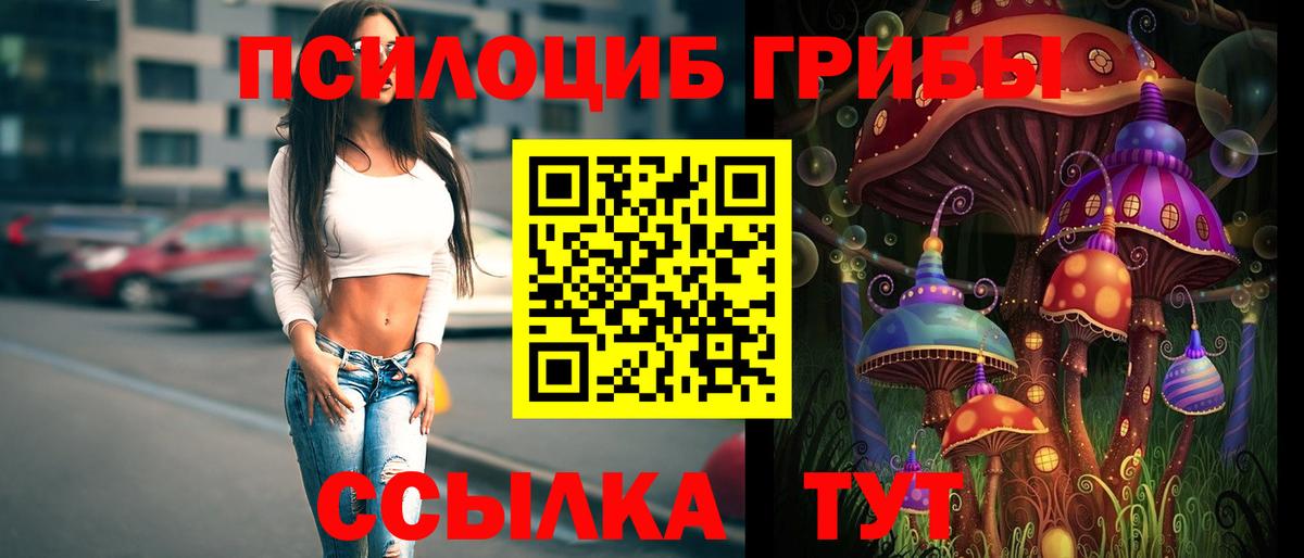 Псилоцибиновые грибы мухоморы  Вход с VPN  Минеральные Воды  Псилоцибиновые грибы Psilocybine cubensis 
